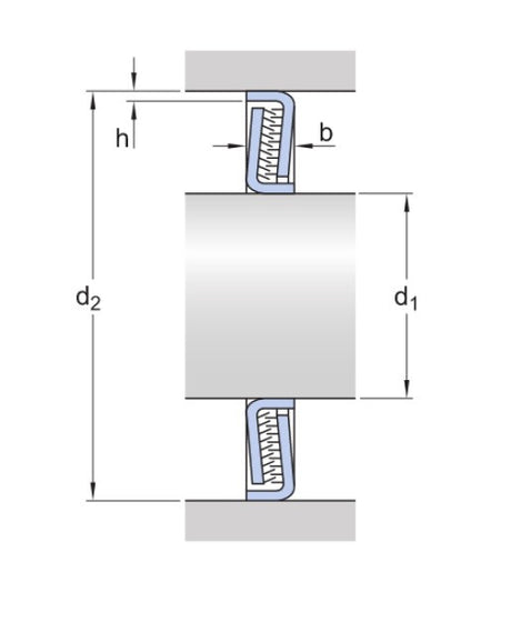 SKF Z 205 F uszczelniająca podkładka